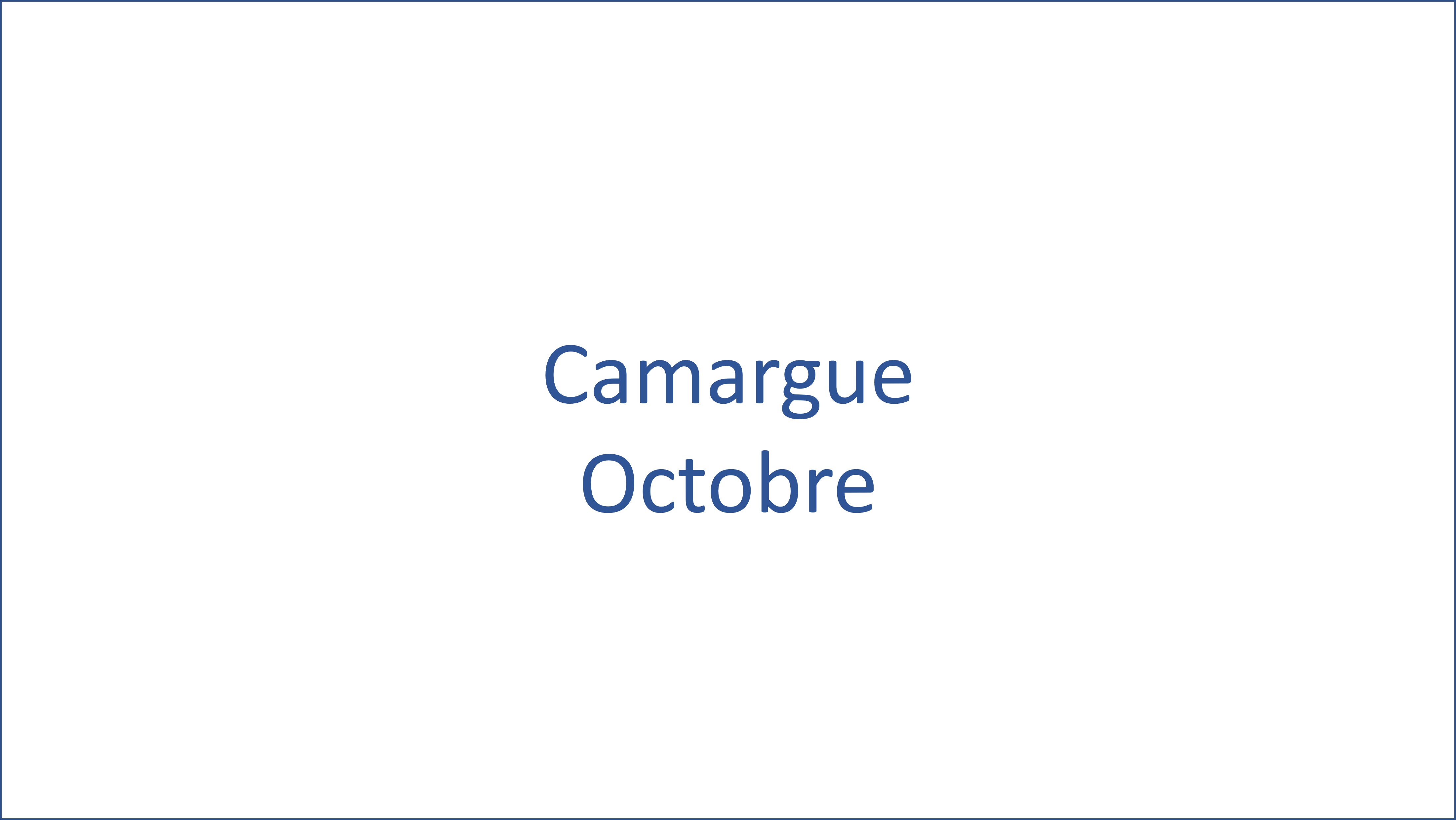 Camargue - 10/2024